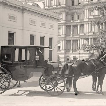 Horse-drawn Carriages: the Bane of City Streets
